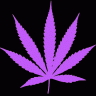 Rize_Cursedez