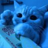Maksim_Suhanov