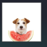 Jack_Texis