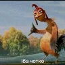 Svit_Karrotyg