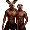 ferrgetys