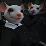 AminaMoon