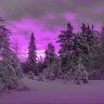 Damir_Giroskopov