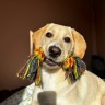 Samulay_1337