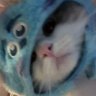 kaisudjeone
