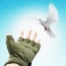 Matthew_Gromov