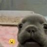 Benjamin_Rivierez