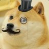 Sir_Doge