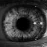 xaujenn