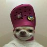 YaDzI