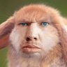 KrolKrolovich