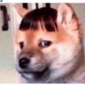 rkukla9