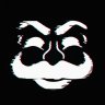 Raccoon027
