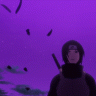 Hqlocost