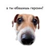 Alan_Ibragimov