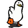 Evan_Solod