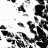 Lior_Duchok