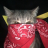 Carl_Y