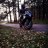 Makap_Shelby