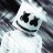 Oleg_Flow