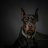 Kostya_Davidoff