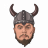 VIKINGIST