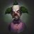 Noah_Hill