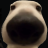 Bandeus