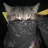 Articles_Sensei