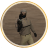 kotik8sea