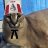 Jovanne_Moretti