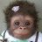Christian_Noer