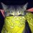 Illya_Efremov
