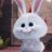 Bushida_BlazeCartersyan