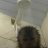 Bogdan_Finch