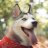 Artem_Makarow