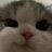 Mark_Chayka