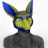 Intelprais