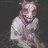 Woozy_Legado