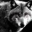 WolFKaM41