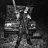 Cody_Macduff