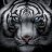 tigerwandr