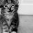 Ballun_Brunno