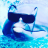 Aaron_Webb