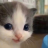 Alex_Forcina