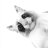 Alex_Sheremetiev