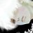 ivan_rese