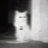 Axio_Grime