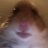 Paul_Buchlez666