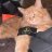 Jemes_Camerons